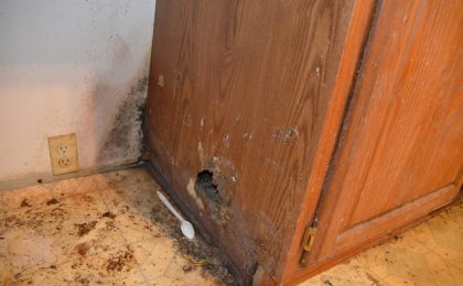 Signs of Water Damage